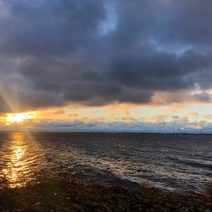 Meet your Posher, Sharon